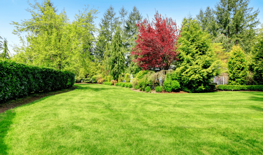 LAWN CARE